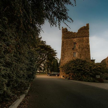 Killiane Castle Country House & Farm Drinagh Exterior photo