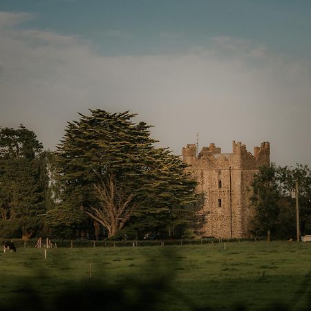 Killiane Castle Country House & Farm Drinagh Exterior photo