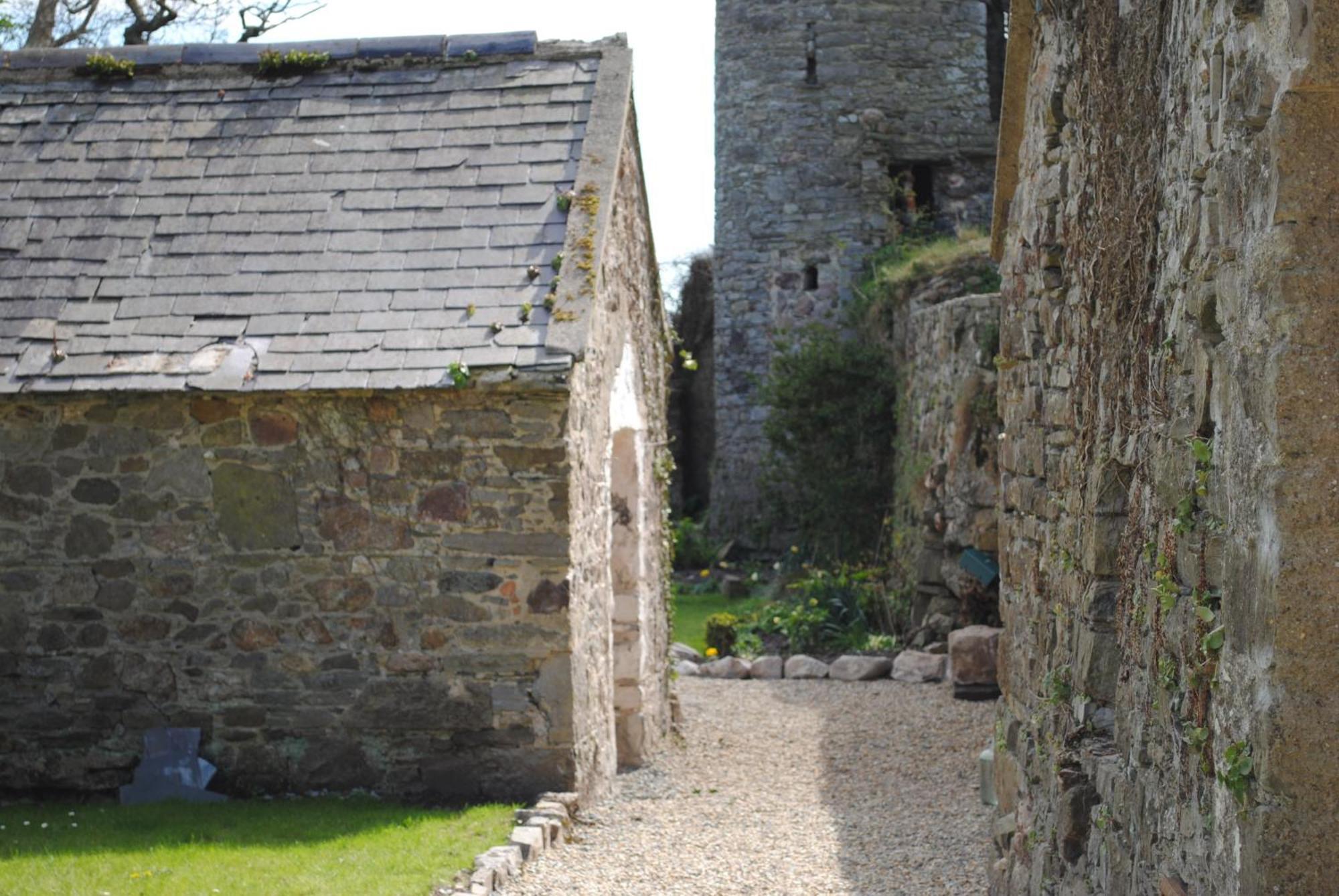 Killiane Castle Country House & Farm Drinagh Exterior photo
