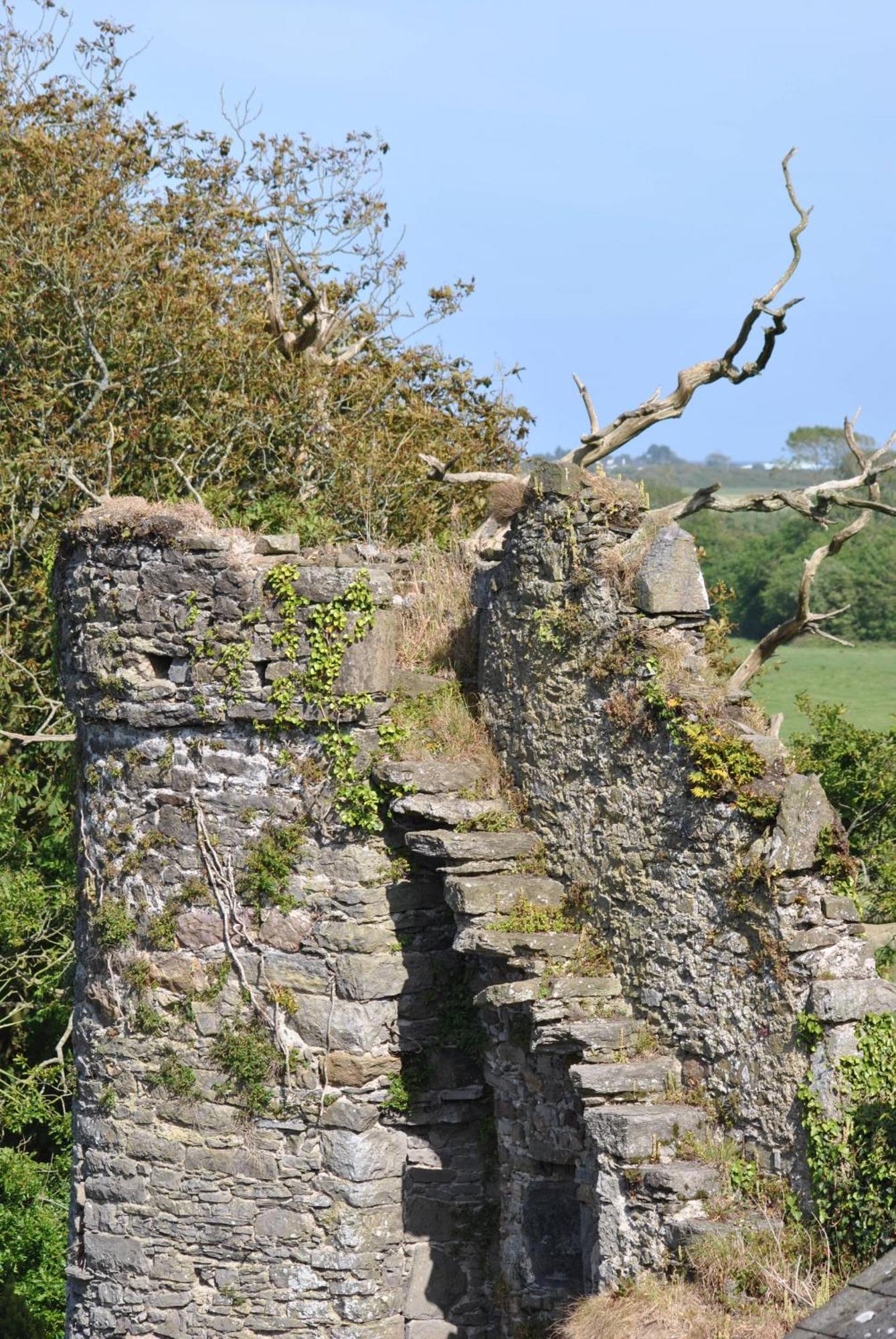 Killiane Castle Country House & Farm Drinagh Exterior photo