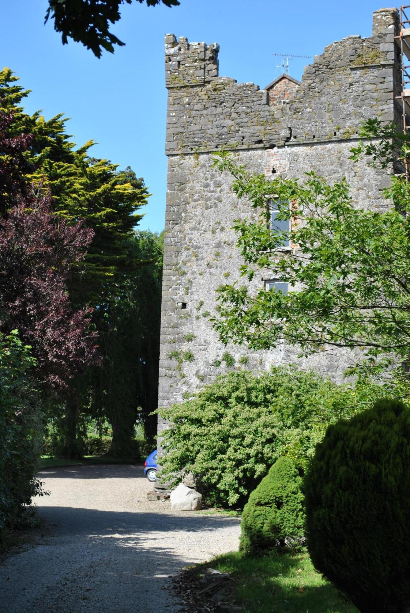 Killiane Castle Country House & Farm Drinagh Exterior photo