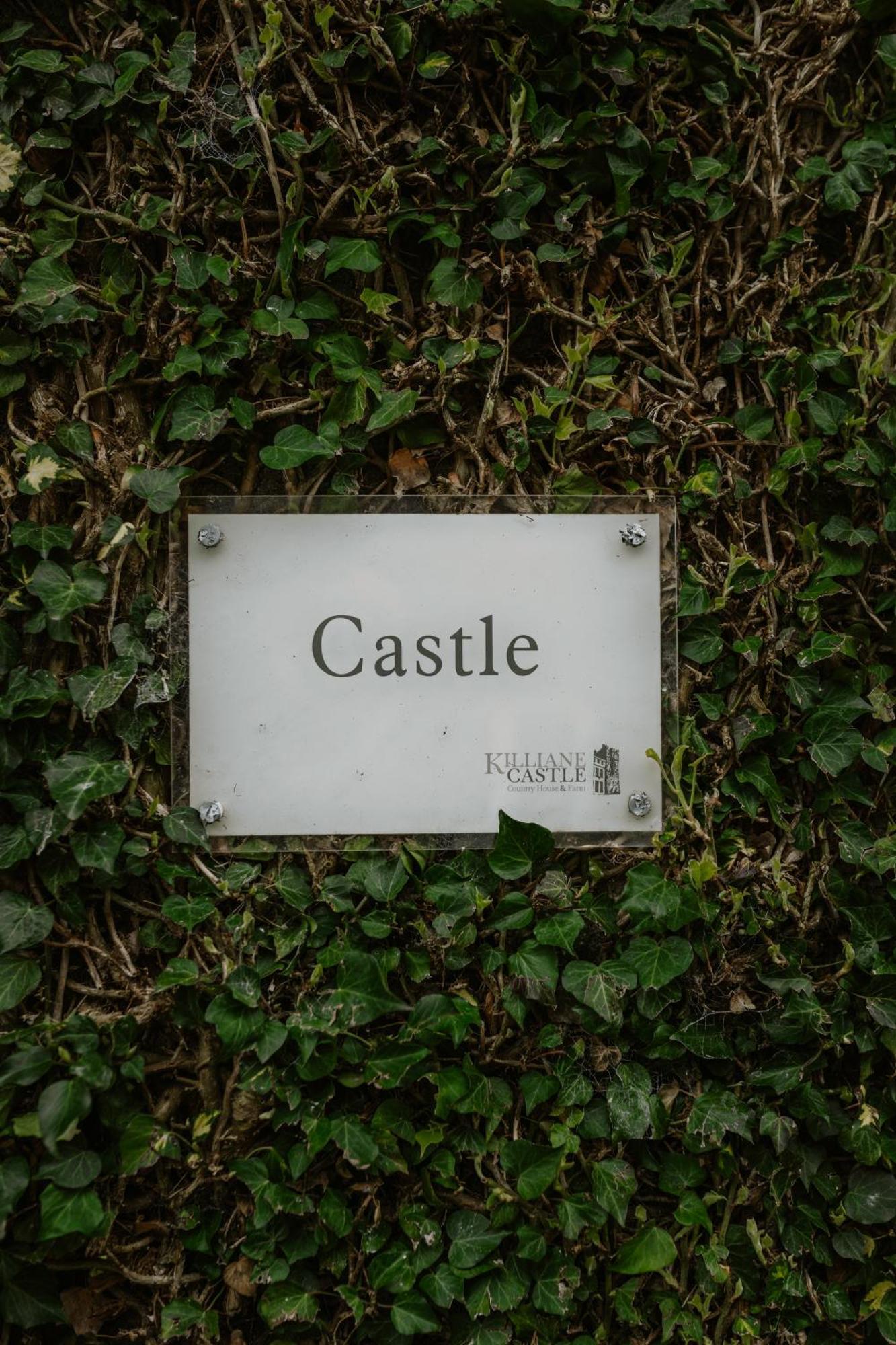 Killiane Castle Country House & Farm Drinagh Exterior photo