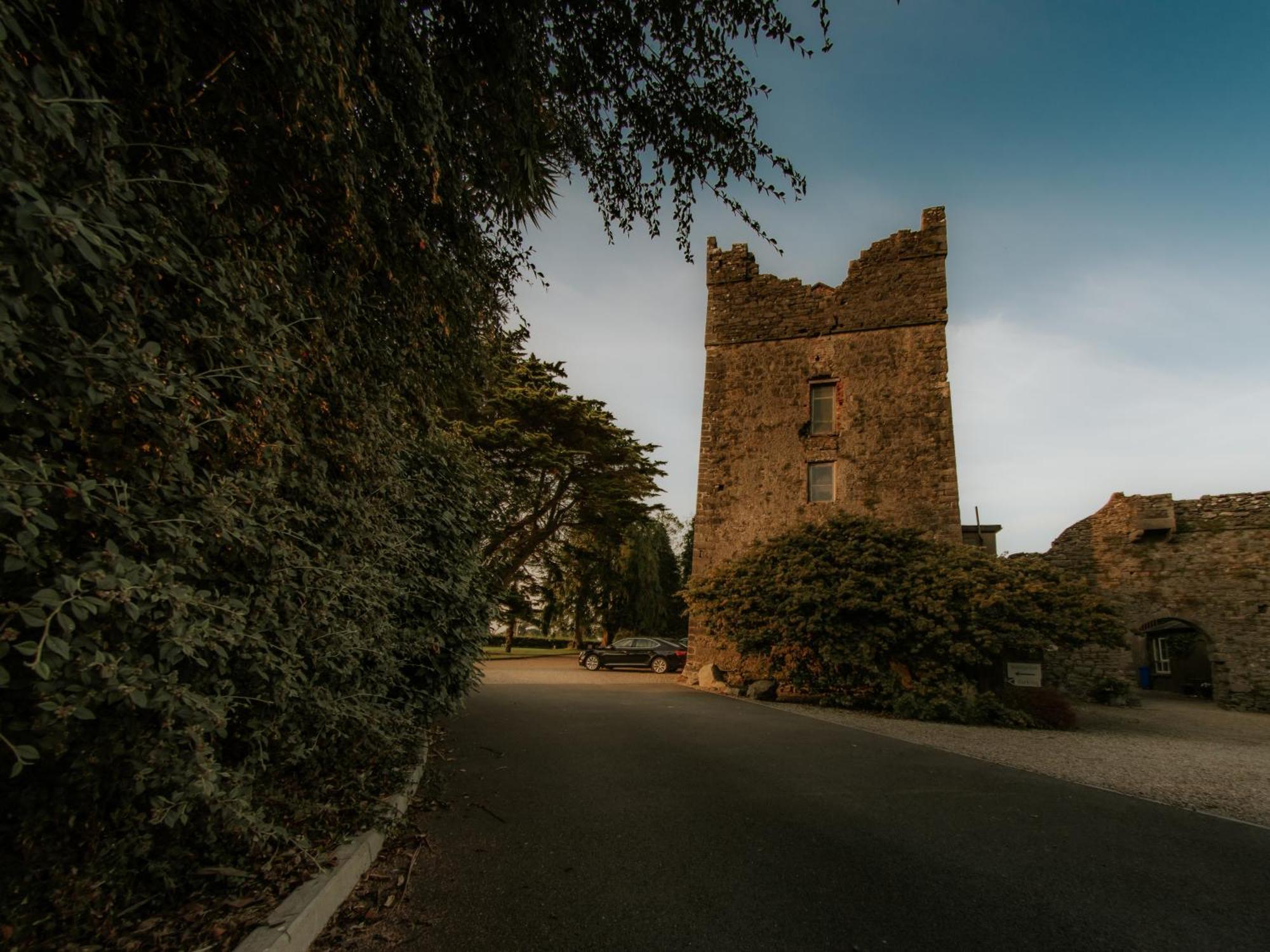 Killiane Castle Country House & Farm Drinagh Exterior photo