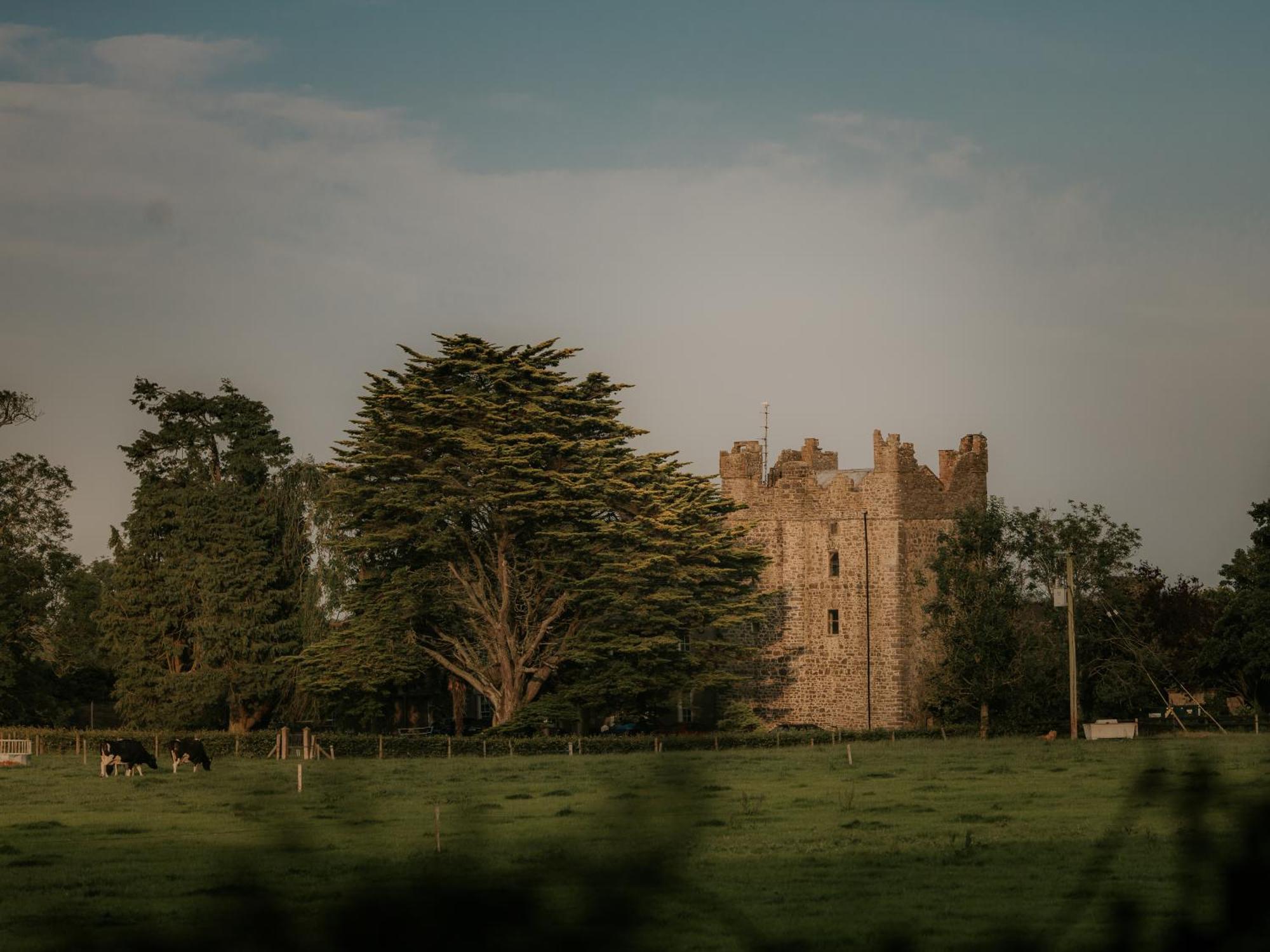 Killiane Castle Country House & Farm Drinagh Exterior photo