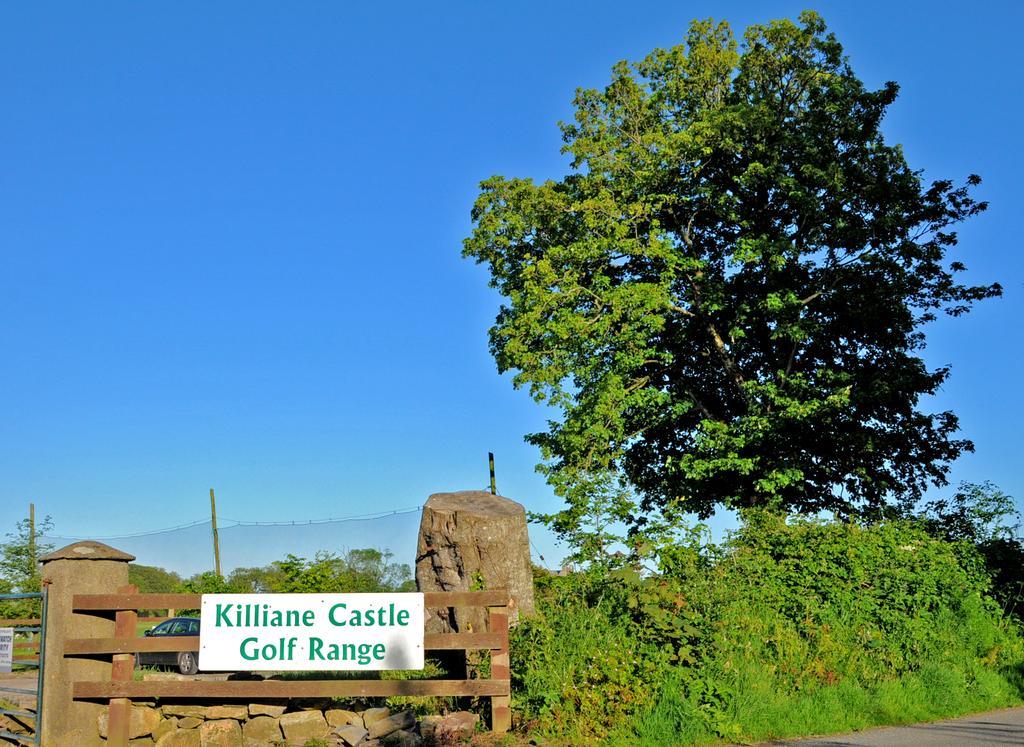 Killiane Castle Country House & Farm Drinagh Exterior photo